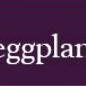 Egglant Purple Lane Bryant Cardigan Size 22/24